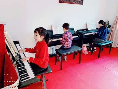 红桥哪里有少儿钢琴培训机构,艺声宝艺术综合素质的艺术摇篮