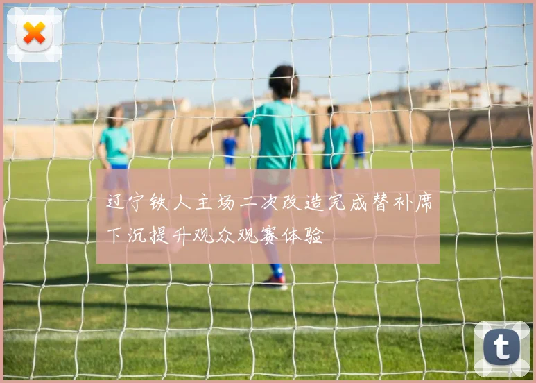 辽宁铁人主场二次改造完成替补席下沉提升观众观赛体验
