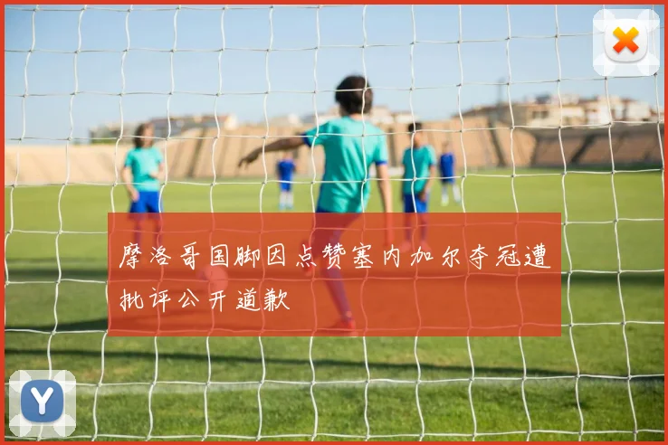 摩洛哥国脚因点赞塞内加尔夺冠遭批评公开道歉
